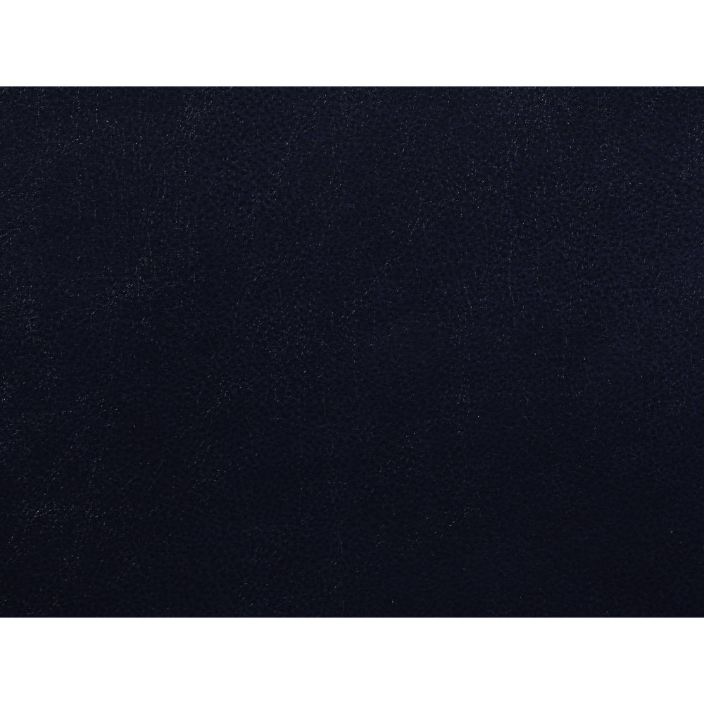 ACME Aashi Navy LeatherGel Match Motion Sofa Model 55370