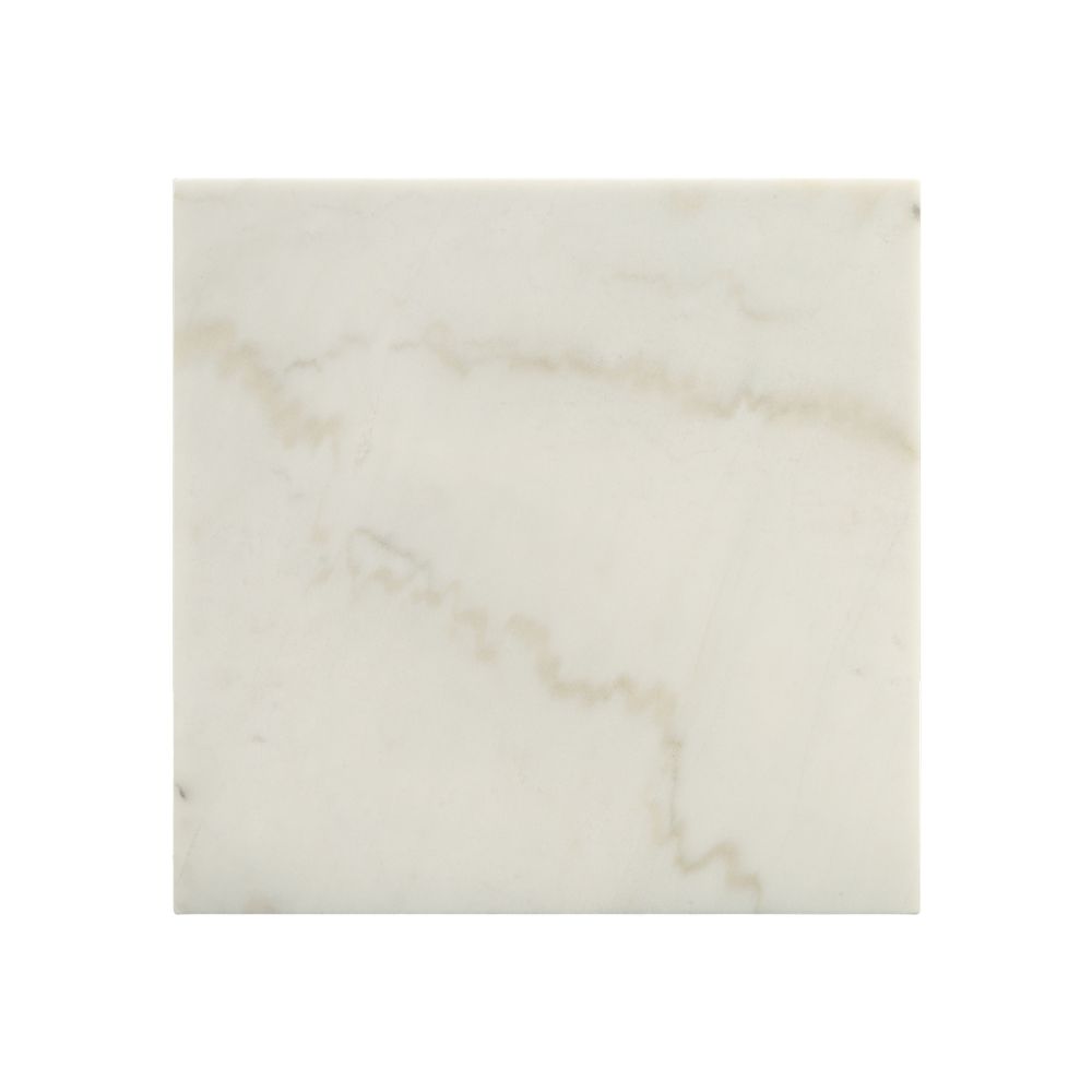 ACME Telestis White Natural Marble Top & Black End Table Model 84502
