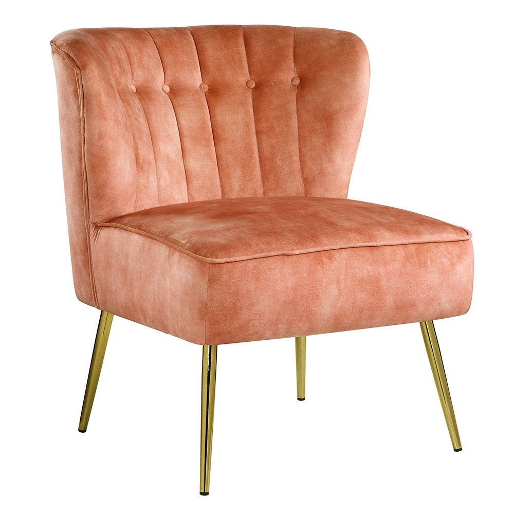 ACME Sambell Burnt Orange Velvet Accent Chair Model AC00126