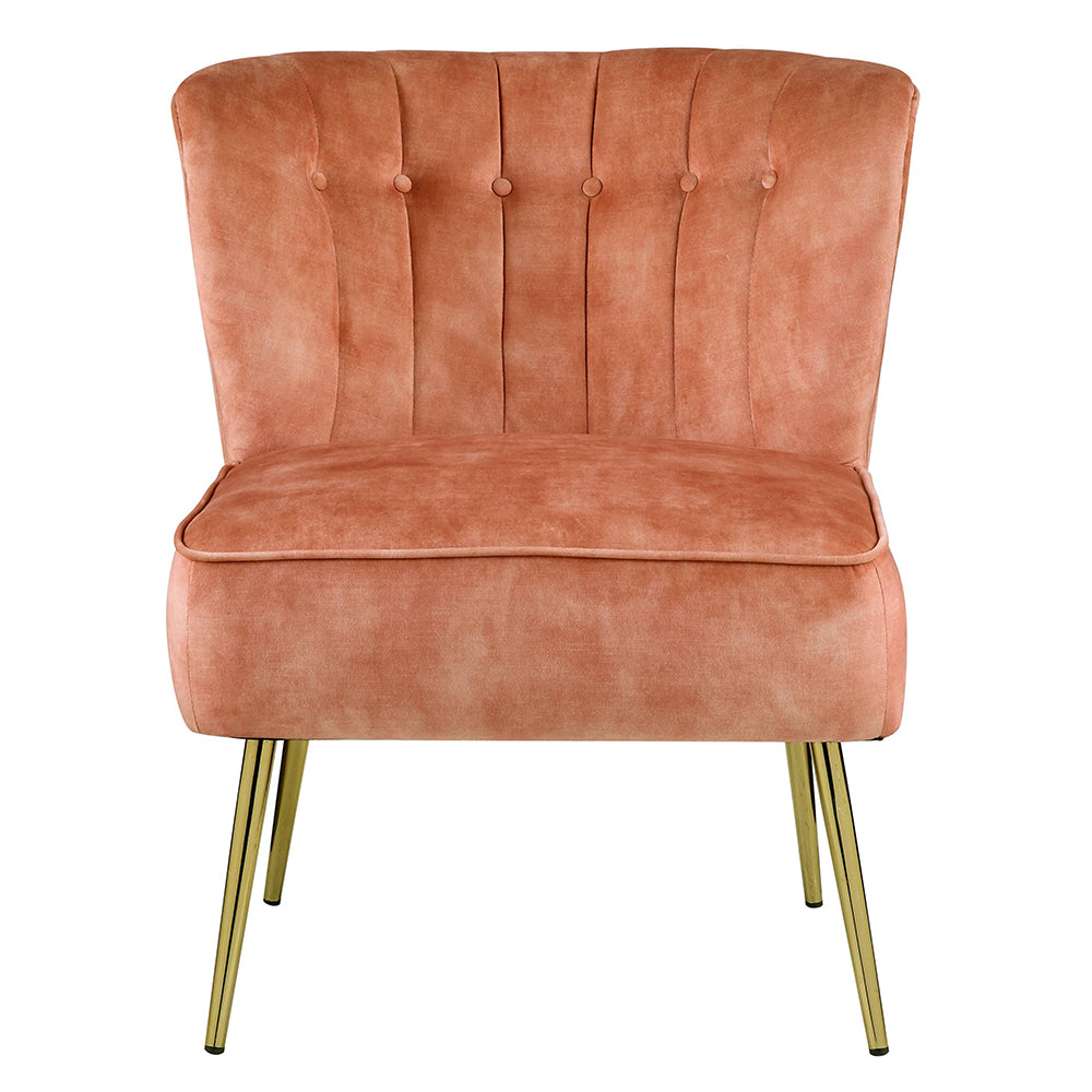 ACME Sambell Burnt Orange Velvet Accent Chair Model AC00126