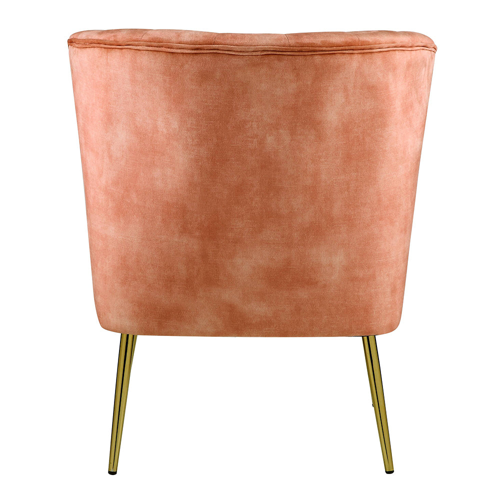 ACME Sambell Burnt Orange Velvet Accent Chair Model AC00126