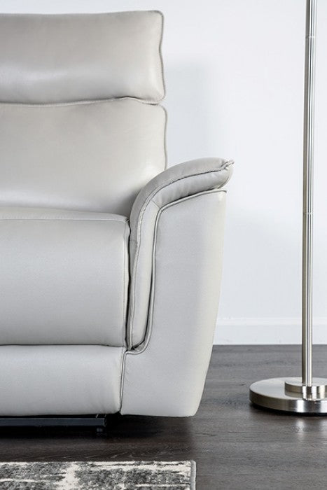 Furniture of America Bienne Taupe Transitional Recliner Chair Model FM69002TP-CH-M