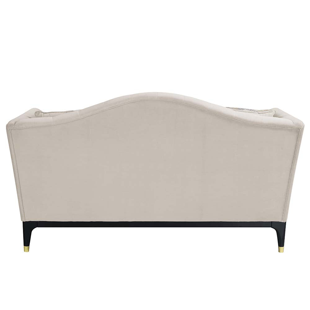 ACME Tayden Beige Velvet Loveseat with 4 Pillows Model LV01156