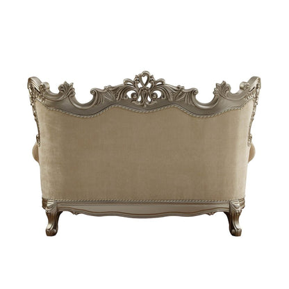 ACME Ranita Fabric & Champagne Loveseat with 6 Pillows Model 51041