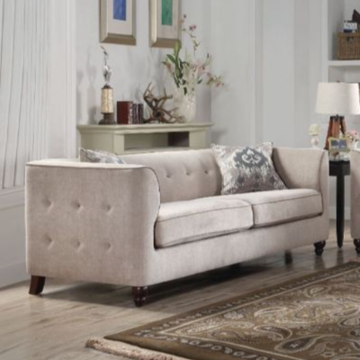 ACME Cyndi Tan Velvet Sofa with 2 Pillows Model 52055