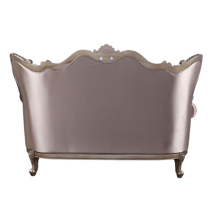 ACME Jayceon Fabric & Champagne Loveseat with 2 Pillows Model 54866