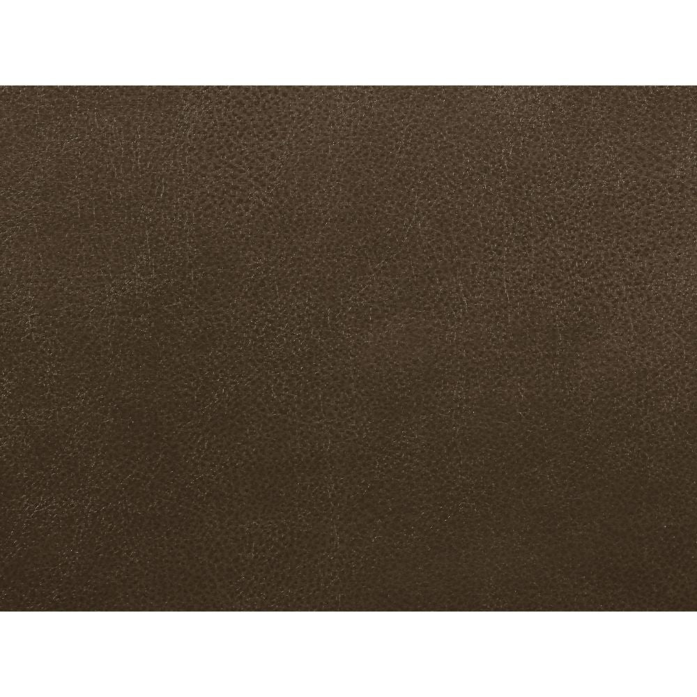 ACME Aashi Brown LeatherGel Match Motion Sofa Model 55420
