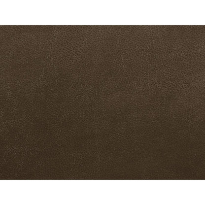 ACME Aashi Brown LeatherGel Match Motion Sofa Model 55420