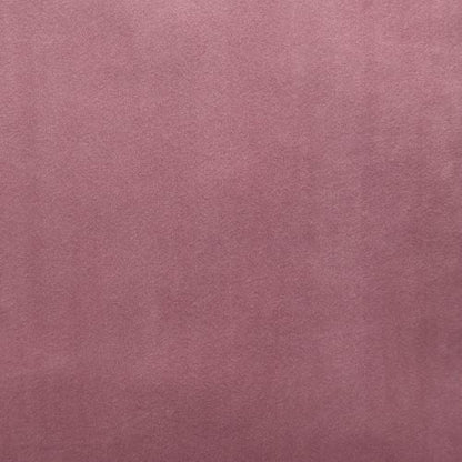 ACME Zunyas Pink Velvet Accent Chair with Swivel Model AC00291