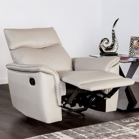 Furniture of America Bienne Taupe Transitional Recliner Chair Model FM69002TP-CH-M