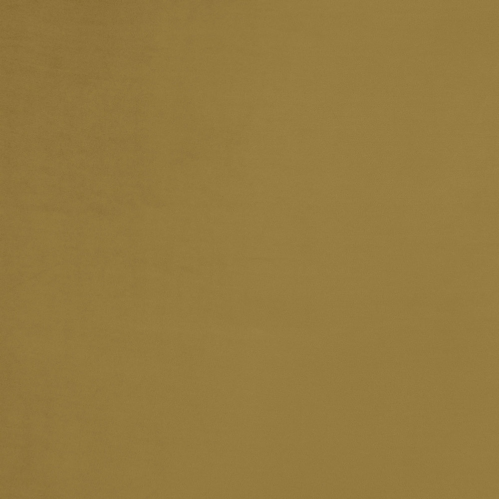 ACME Millephri Olive Yellow Velvet Loveseat Model LV00164