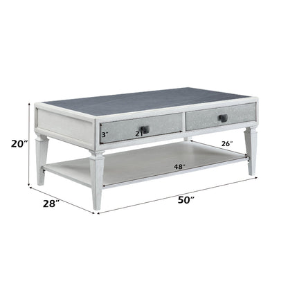 ACME Katia Rustic Gray & Weathered White Coffee Table Model LV01052