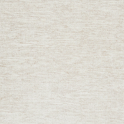ACME Shane Beige Linen Loveseat with 2 Pillows Model LV02911