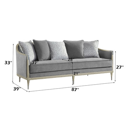 ACME Fernando Gray Chenille & Champagne Sofa with 5 Pillows Model LV04820