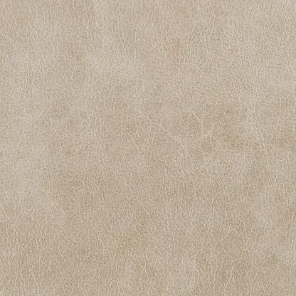 ACME Elison Dark Beige Polish Microfiber Motion Sofa Model LV05400