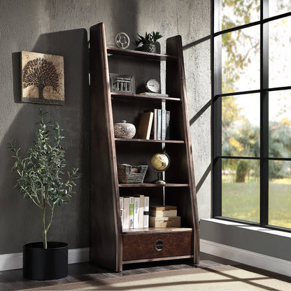 ACME Brancaster Bronze  Aluminum  & Morrocco Top Grain Leather Bookcase Model OF02405